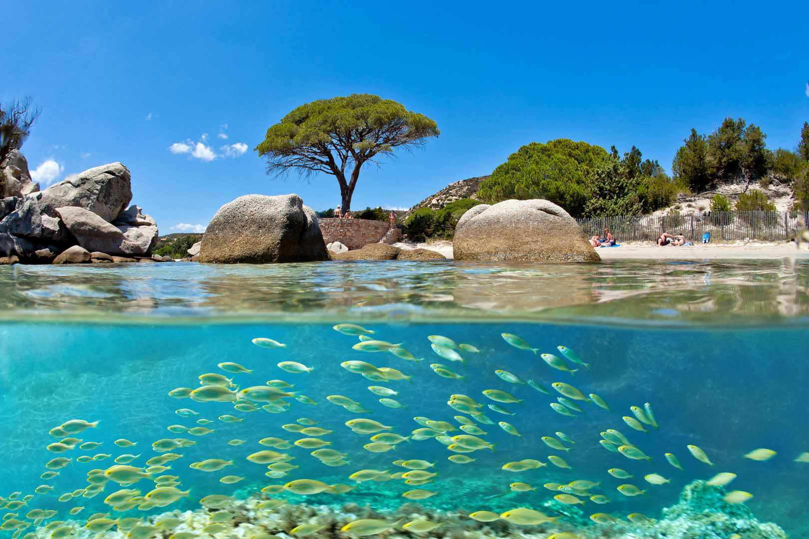 Les séjours tout compris en Corse